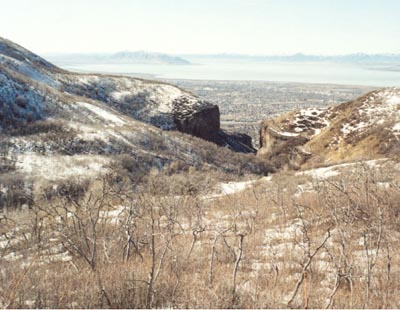 Looking down at the limestone walls in lower Dry Canyon