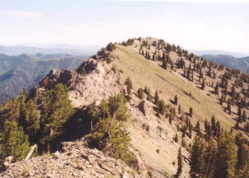 View to North Flagstaff from main summit