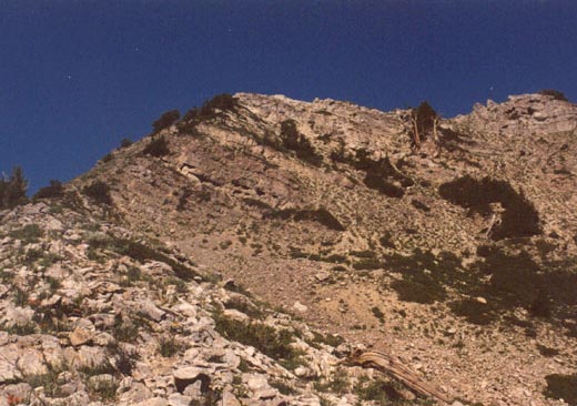 Gobblers Knob from ridge at 9,800 feet