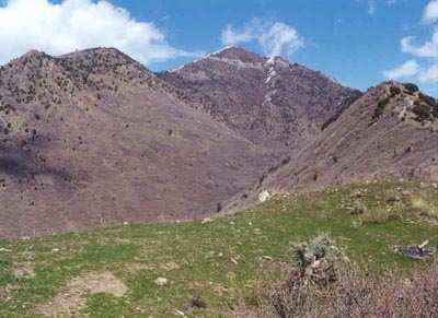 Looking up to Grandeur from Salt Lake Overlook/Rattlesnake Gulch trail