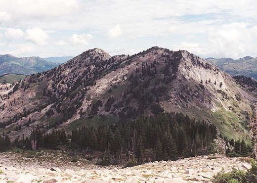 View of the gentle backside of Honeycomb Cliffs from slopes of Mt. Wolverine