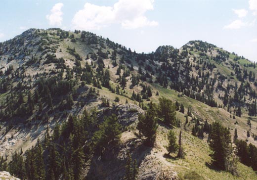 Honeycomb Cliffs from Davenport Hill