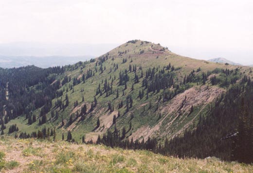 Jupiter Peak seen from just north of un-named 10,026