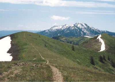 Along the summit ridge of Lewis Peak.  Mt. Ogden visible in distance