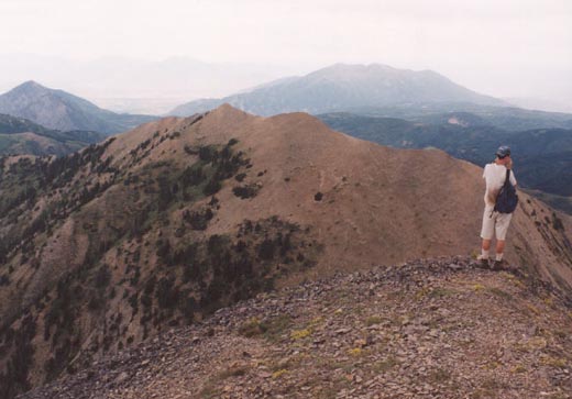 Looking to North Peak from North Nebo's 11,460' sub-peak