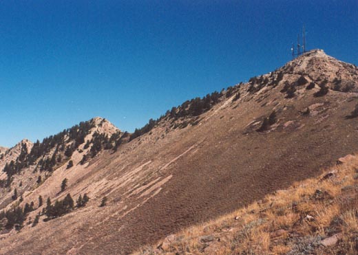 Mt. Ogden viewed from the ridgecrest above Beus Canyon