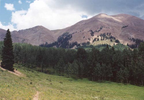 Mt. Peale from near La Sal Pass.  Route ascends gully left of center