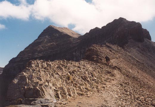 From Aspen Grove/Timpooneke junction looking to Timp summit