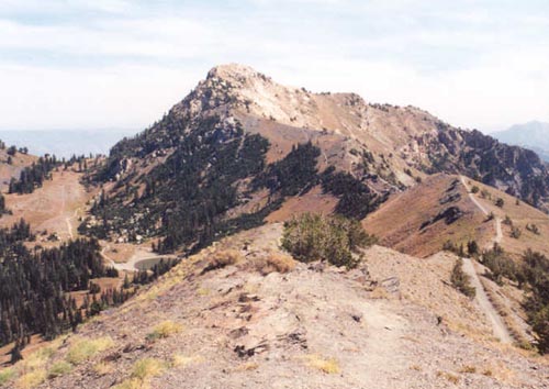 Looking to Willard Peak from Willard Mountain summit